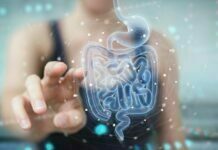 How To Improve And Maintain Your Digestive System Digestive System