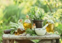 Herbal Remedies for Use During Pregnancy Herbal Remedies