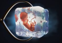 Fertility Preservation Options For Women With Diminished Ovarian Reserve Fertility Preservation