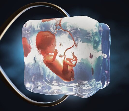 Fertility Preservation Options For Women With Diminished Ovarian Reserve Fertility Preservation