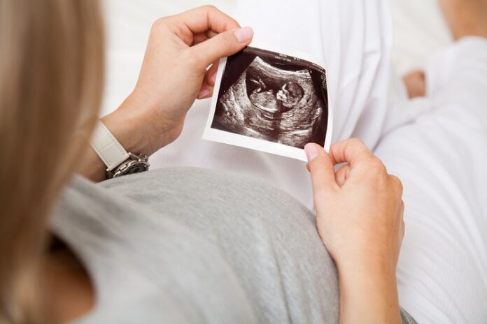 Fetus