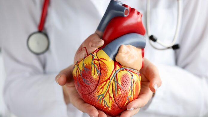 Cardiologist